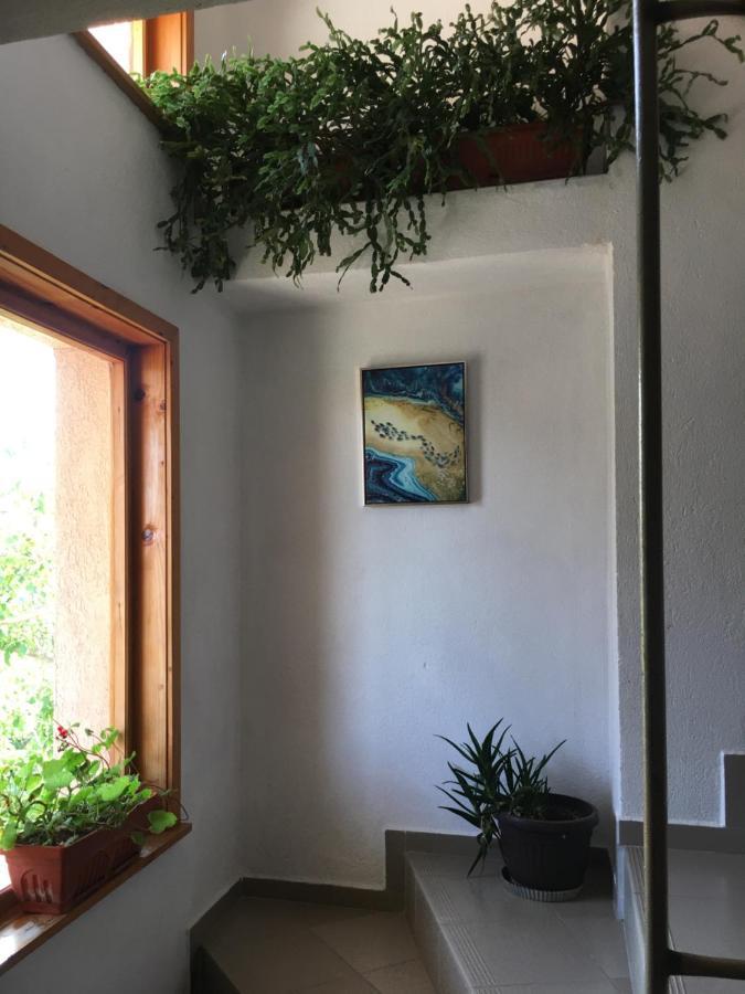 Chervenkov Guest House チェルノモレツ エクステリア 写真