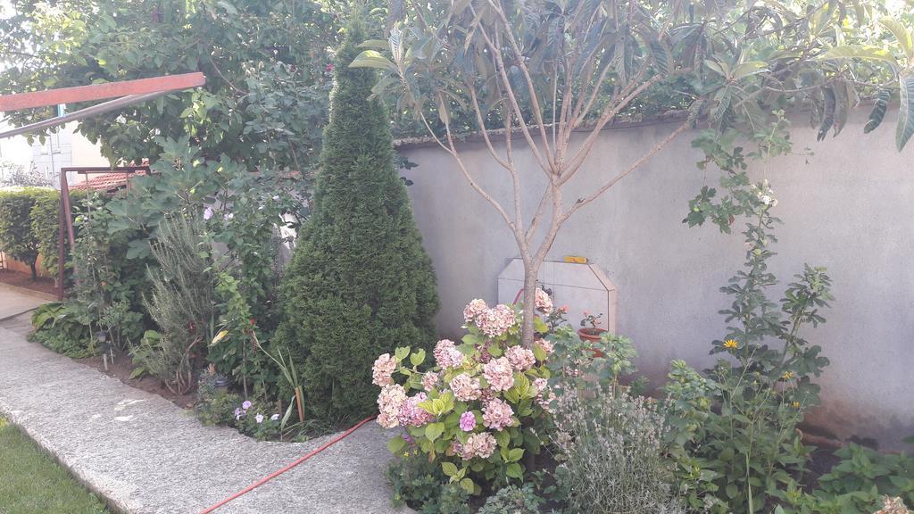 Chervenkov Guest House チェルノモレツ エクステリア 写真